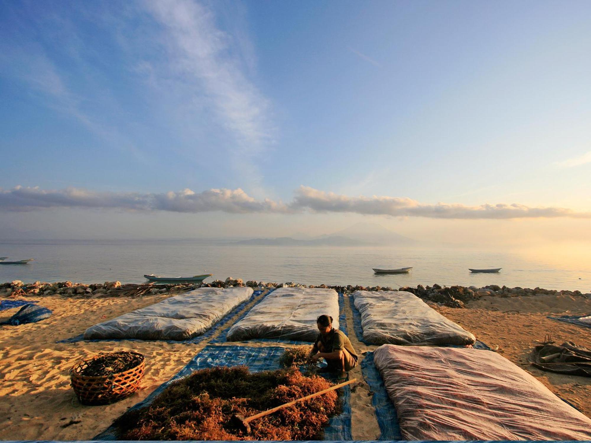Pondok Jenggala Lembongan Exteriér fotografie